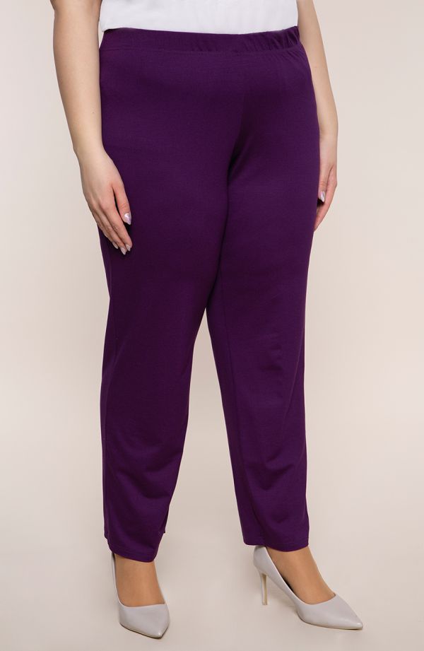 Klasyczne spodnie w fioletowym kolorze