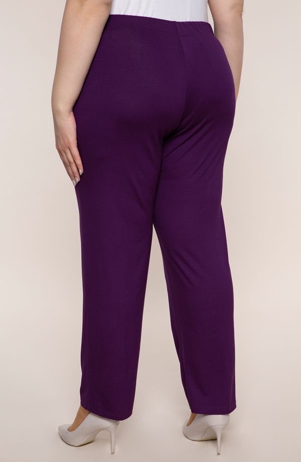 Klasyczne spodnie w fioletowym kolorze